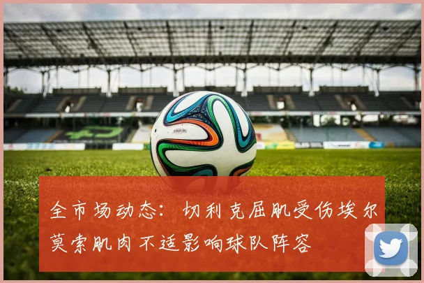 全市场动态：切利克屈肌受伤埃尔莫索肌肉不适影响球队阵容